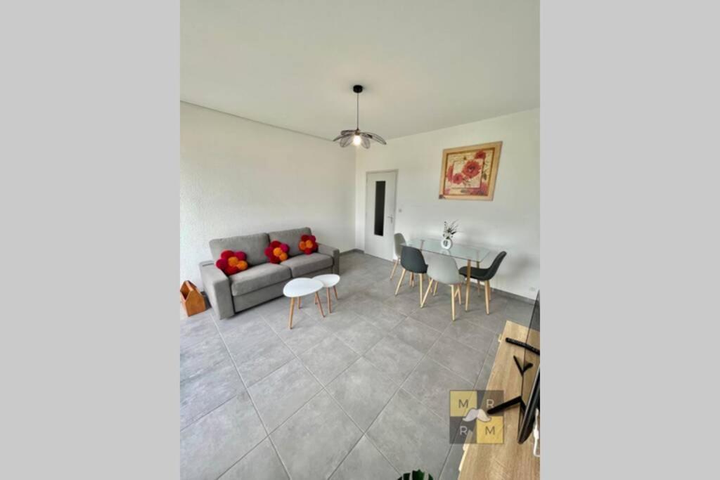 Bord D'Aude Parking Privatif Proche Cite Medievale Carcassonne Exterior foto